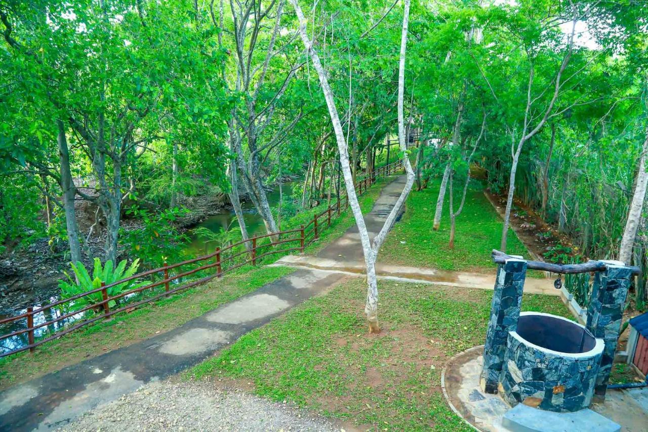 Doola River Edge Udawalawe Exteriör bild