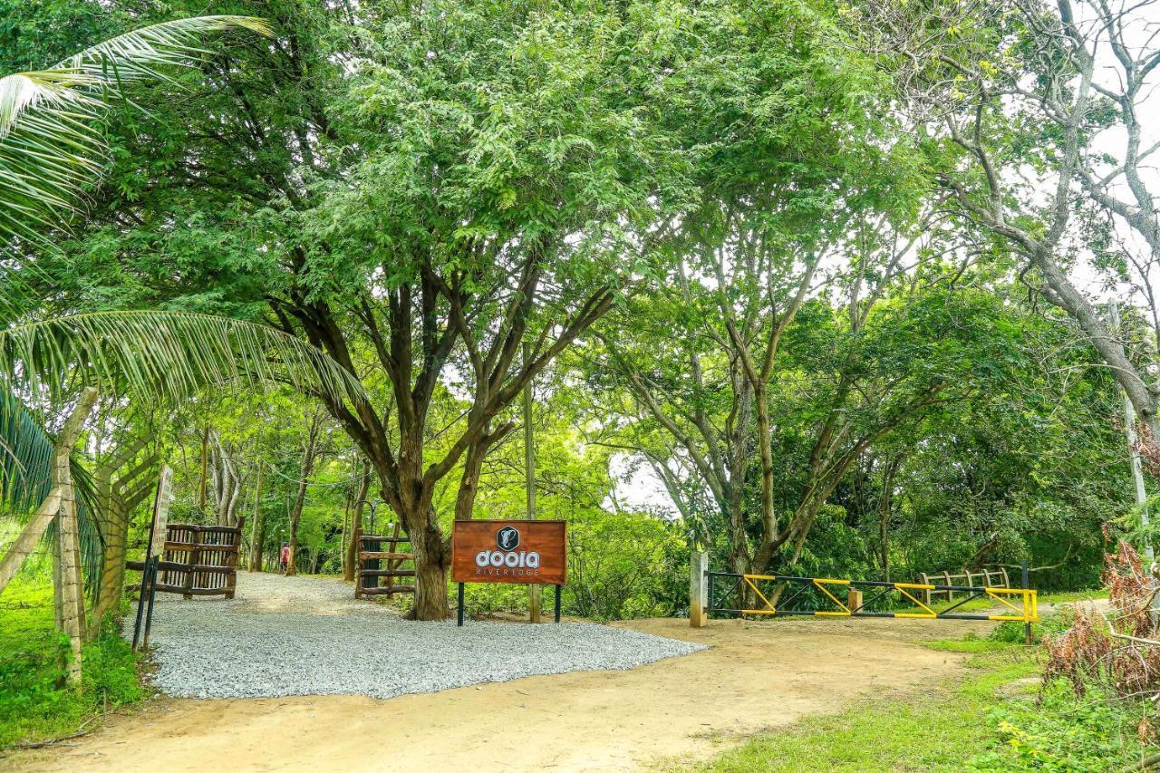 Doola River Edge Udawalawe Exteriör bild